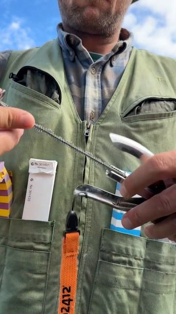 Поле - мой дом на ближайшие 3 месяца🌲 #елка #елки #tree #tree