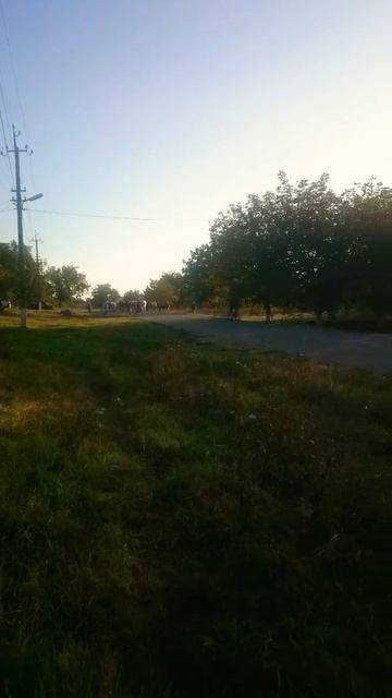 УТРО СТАНИЦЕ .Краснодарский край .МОЛОЧКО ОТ коровки#ma