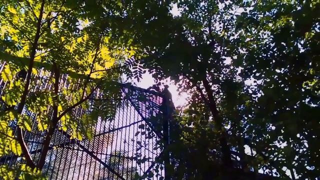 В Новсибирск