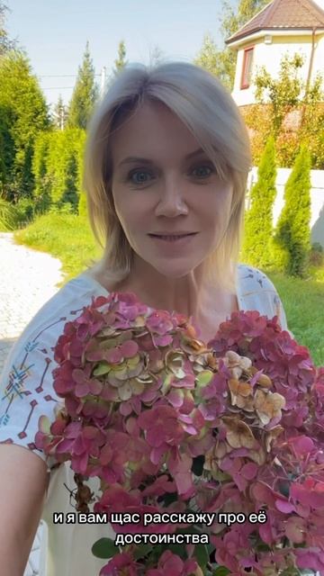 ДОСТОИНСТВА САМАРСКОЙ ЛИДИИ #гортензии #цветы #сад #го?