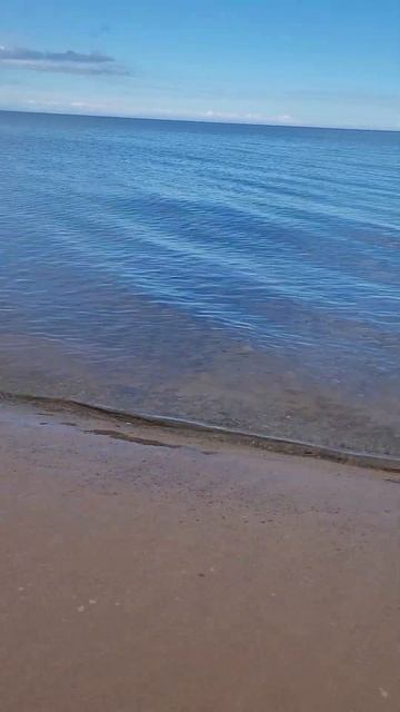 Карелия 2024. Ладожское озеро. Приозерск. Июль 2024 (Часть 5