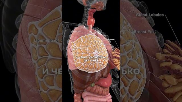 Fe0836e5967e4931f0cfbcedaa715349