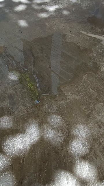 Вот такой должен быть бетон!!!