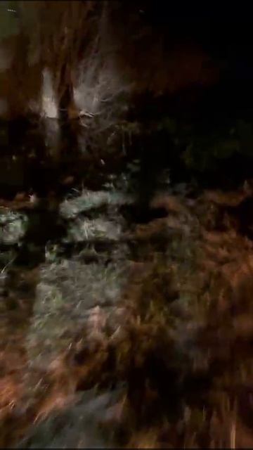 VID-20250509-WA0023.mp4