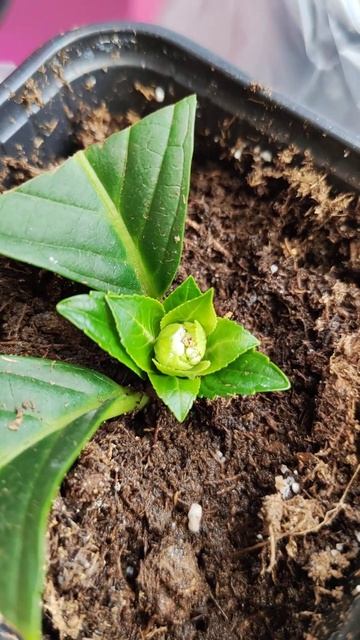 0b4547e074c9a5c5bfd2df790a06c323