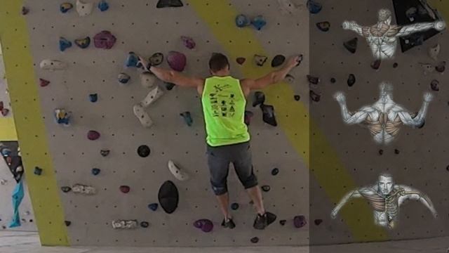 823b2fb4a55ef18ae4c1d06b541cbfe6