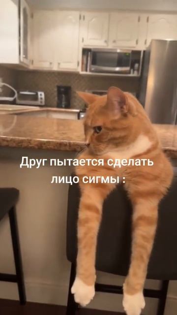 у вас 100% есть такой друг😅