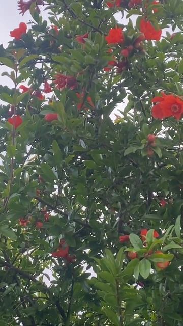 5bd06588193c34a40d137c87df181390