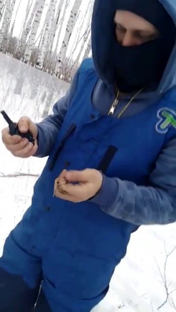 учебно-имитационная граната