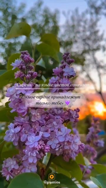 Поддержи подпиской 🙏🫶#москва #украина #белоруссия #к