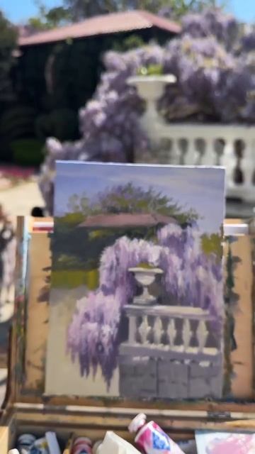 #глициния #крым #цвететглициния #никитскийсад #юбк #