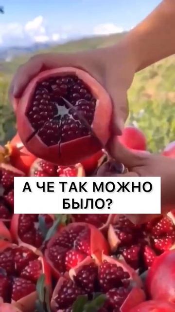 E53d508ded9a7c089f5f8052be6f9160