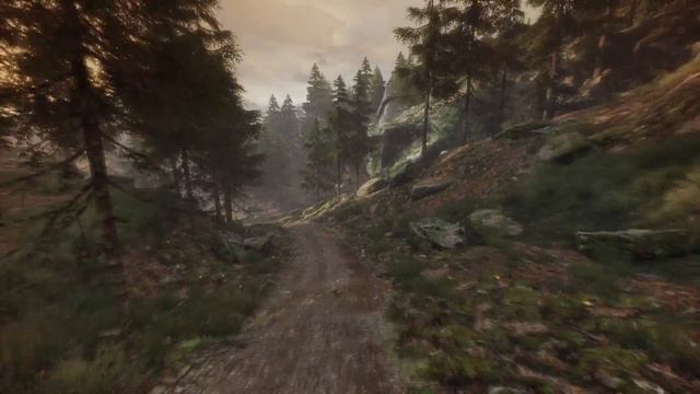 The Vanishing Of Ethan Carter - Свирепый дед
