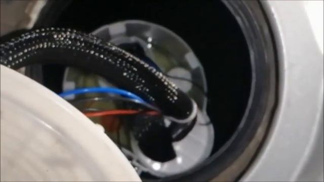 Magnificent Moss Masterpieces