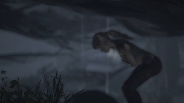 БЕДСТВИЕ - Tomb Raider: Game Of The Year Edition #1 (Alex New)