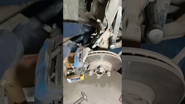 Зеленые райские места