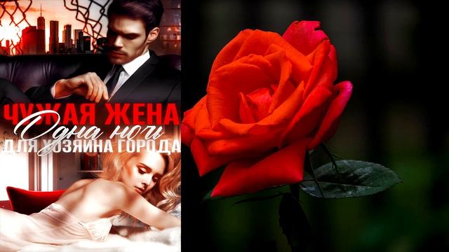 Cfe4d4415d46cfb74e7f90b9c88b7951