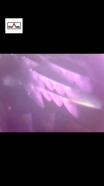 перстень гранат вампир #ring #кольцо #vampire #garnet #vamp #вампир