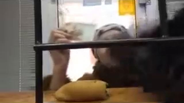 счастье не в деньгах