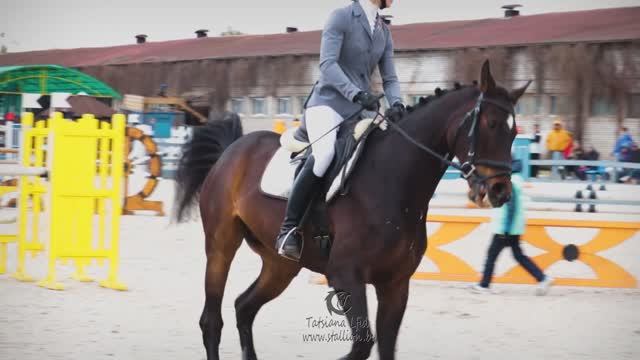 ОТКРЫТЫЙ КУБОК РЕСПУБЛИКИ БЕЛАРУСЬ ПАМЯТИ ГЕРОЯ СОВЕТСКОГО СОЮЗА Л.М.ДОВАТОРА ПО ТРОЕБОРЬю