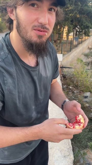 Турецкая граната с Турецкого дерева граната