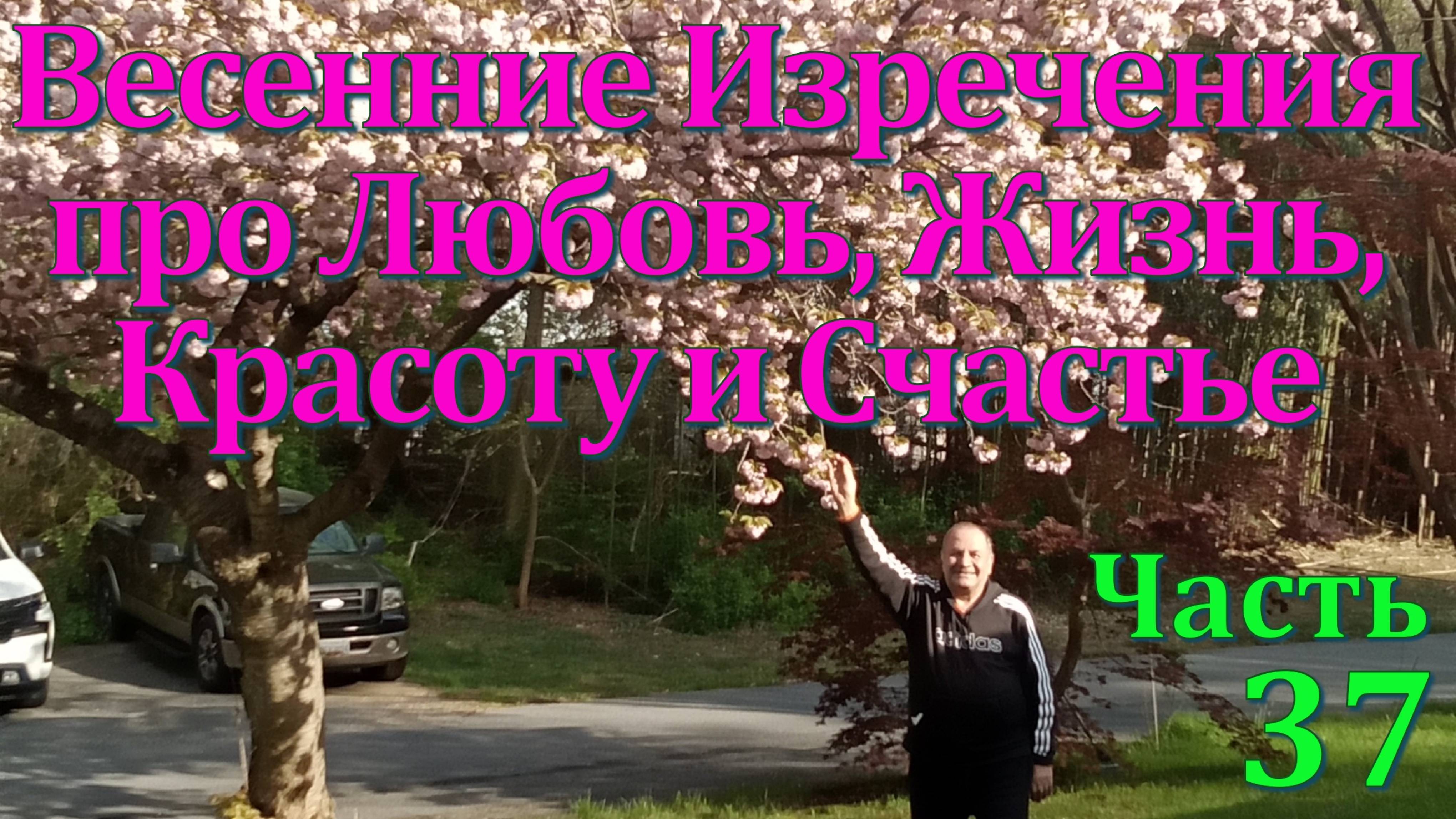 Современные изречения.  Повседневных мысли короткие поговороки,  афоризмы- Часть  37