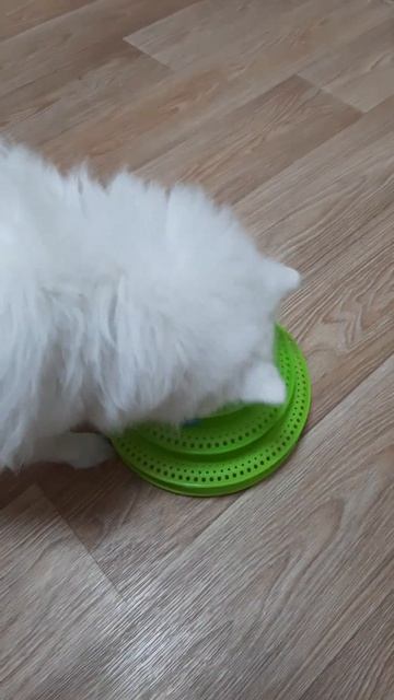 Достать мячик