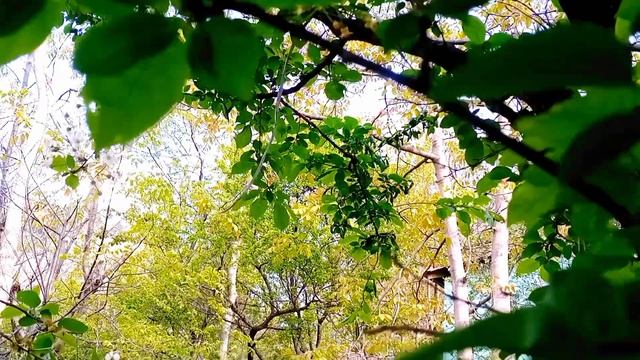 6fd2d668b408e1c868b62fd2a5ff7772