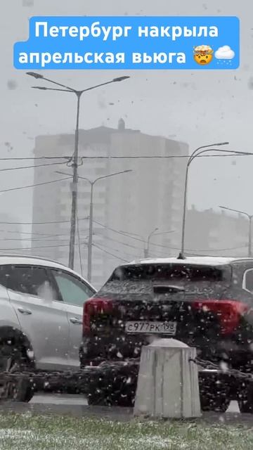 🌨️апрельская ВЬЮГА в Петербурге #снег #санктпетербу?