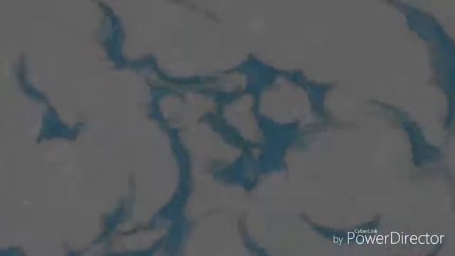 D4602a96cb7b17624d88abd41f256bc6