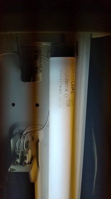 Пуск люминесцентной лампы 36w/54 Philips  /  Start Of Fluorescent Lamp 36w/5