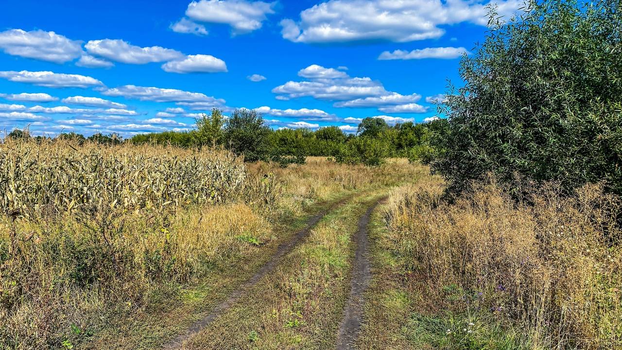 Деревня на границе Тамбовской и Липецкой областей, где осталось всего два двора.