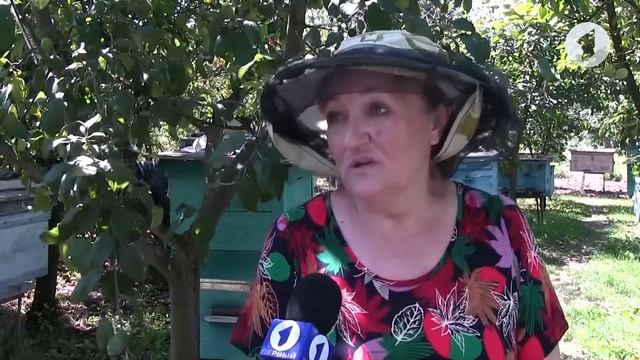 Медовый сезон в селе Гершуновка