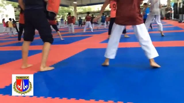 Таэквондо. Стэп