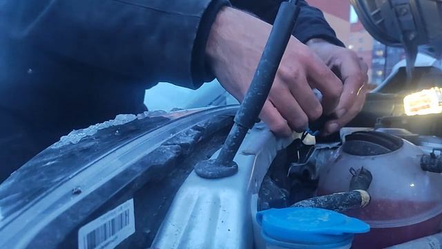 Светлое сердце