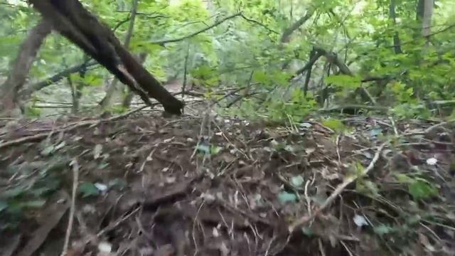 8dff3c0fce631e3ac6e869df5e3ab08b