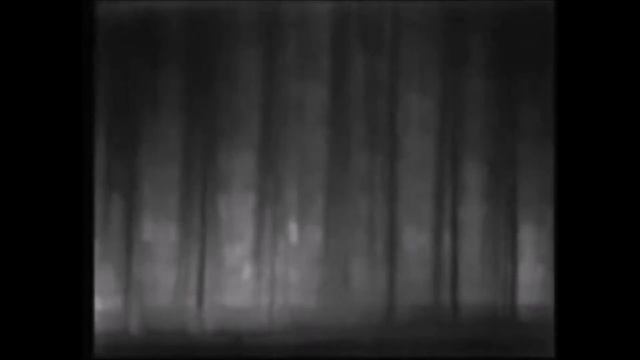 95 лет со дня рождения великой балерины Майи Плисецкой.