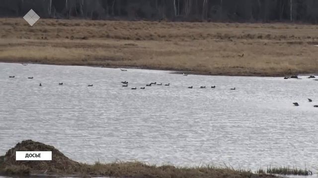 «Саха сирэ» информационнай биэрии. Бэс ыйа 23 күнэ, 20:30 ч