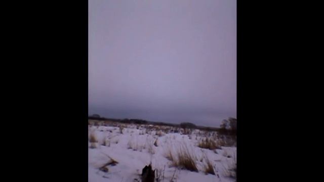 Видео отзыв от Ольги :) моя заказчица :)