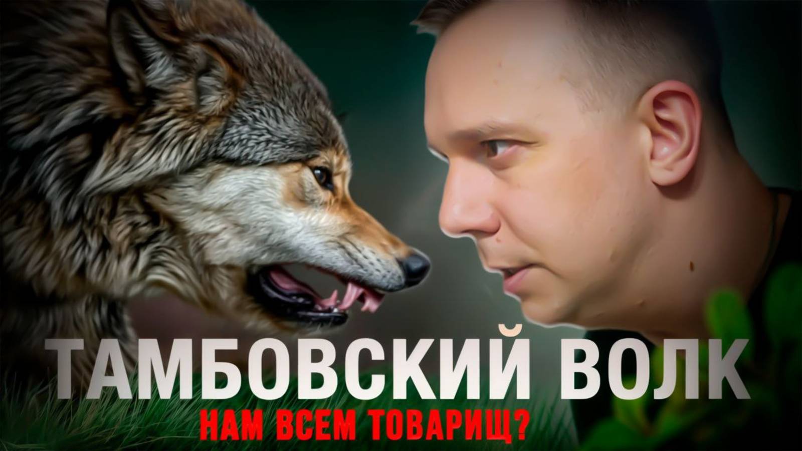 Волки в городе. Тамбовчане против Тамбовцев