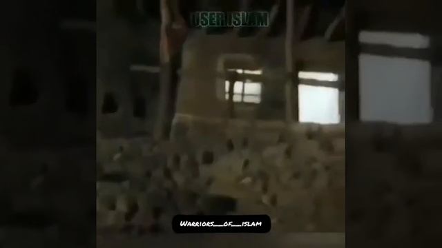 Помните эти слова