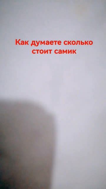 #актив #max_0am #самокат #самокаттрюки #стрит #трюки #прико?