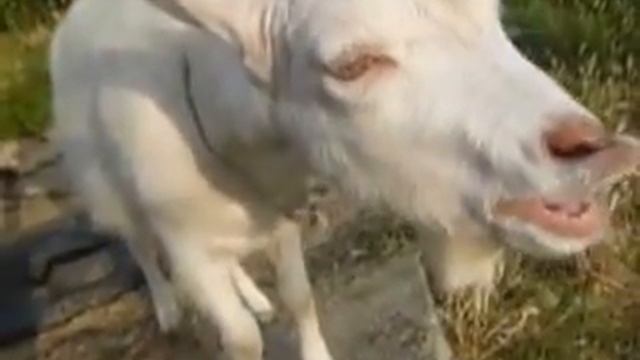 Add06f7200ff45d941fd81c0c0b12583