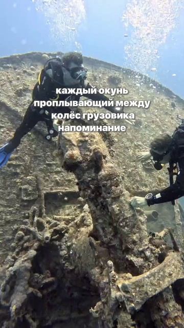 ПОГРУЖЕНИЕ К ИСТОРИИ