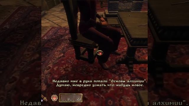 The Elder Scrolls IV: Oblivion: Морковка упала между ног