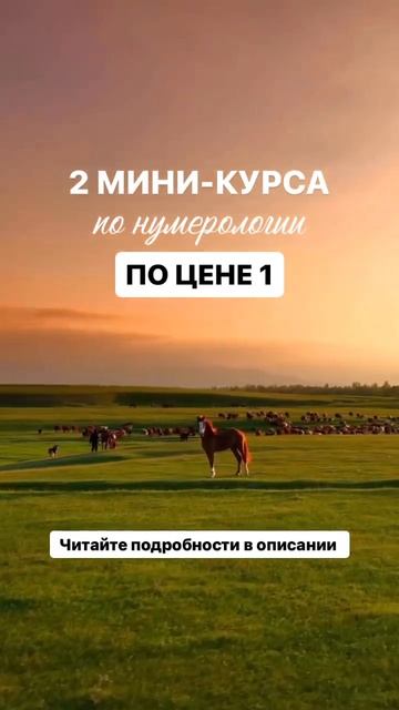 Условия акции от меня читайте в описании