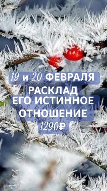 ЕГО ИСТИННОЕ ОТНОШЕНИЕ. АКЦИЯ. ФЕВРАЛЬ. ТАРО РАСКЛАД