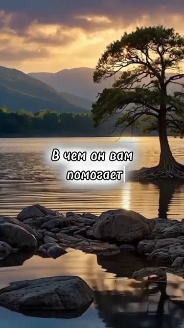 Расклад Таро 