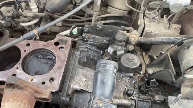 Osvetlenie Dlya Razvitiya