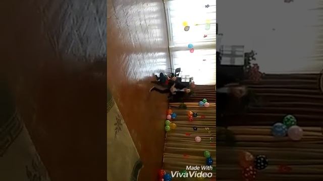 Танец на праздник (красавчик в черном - я😉) Break Dance